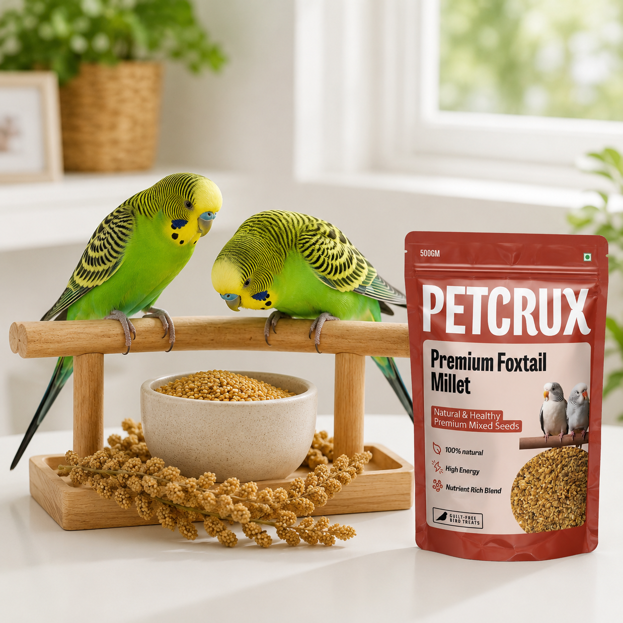 What Do Pet Birds Actually Eat? A Feeding Guide for Indian Bird Owners