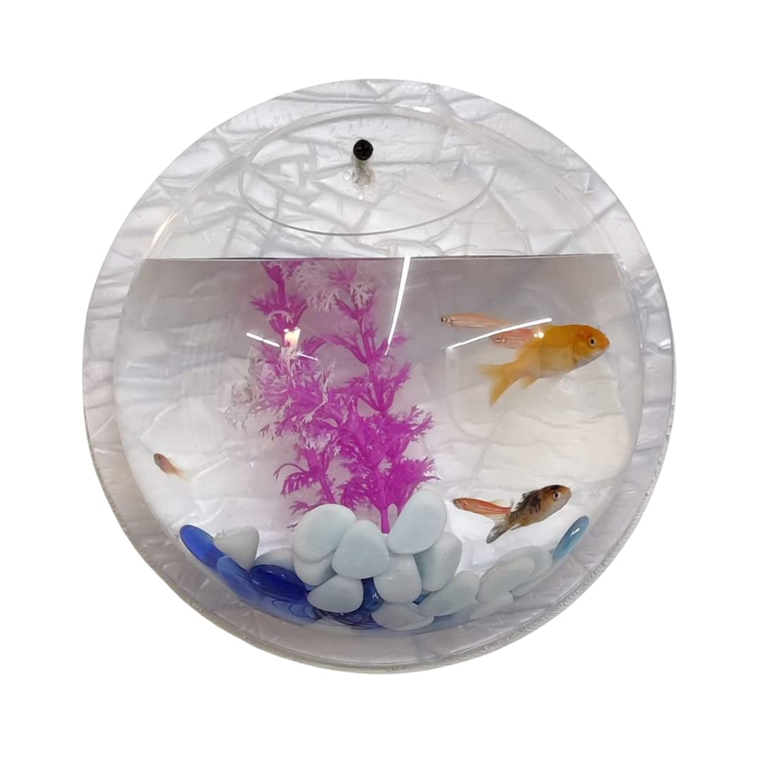 PetCrux Premium Acrylic Wall Mounted Aquarium Fish Bowl/Wall Planter for Home Decor (15 inches, Aqua Green)