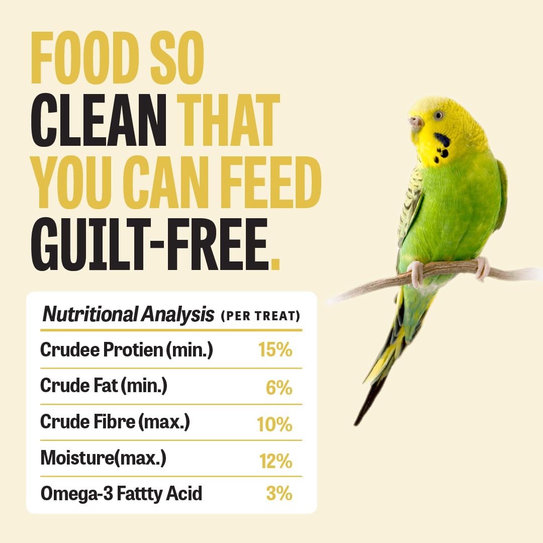 Petcrux Bird Food – Blend of 6 Grains & Mixed Seeds – Clean, Additive-Free Bird Feed with Nyjer, Millet, Oats, Sunflower – 100% Natural & Healthy Mix for All Birds (1000 g)