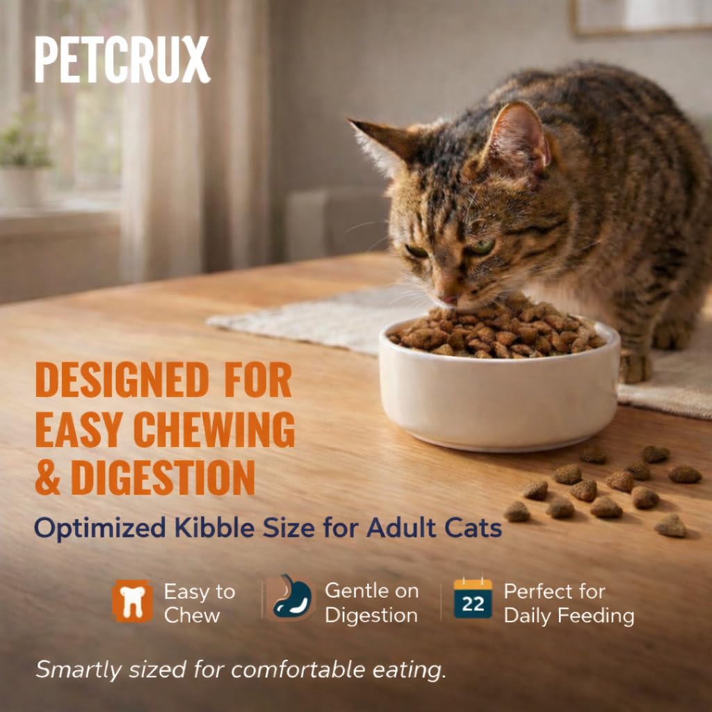 Petcrux Dry Adult Cat Food, Mackerel Fish Flavor, with Omega 3 & 6 and Taurine, Complete & Balanced Nutrition for Adult Cats, Trial Pack 50 g
