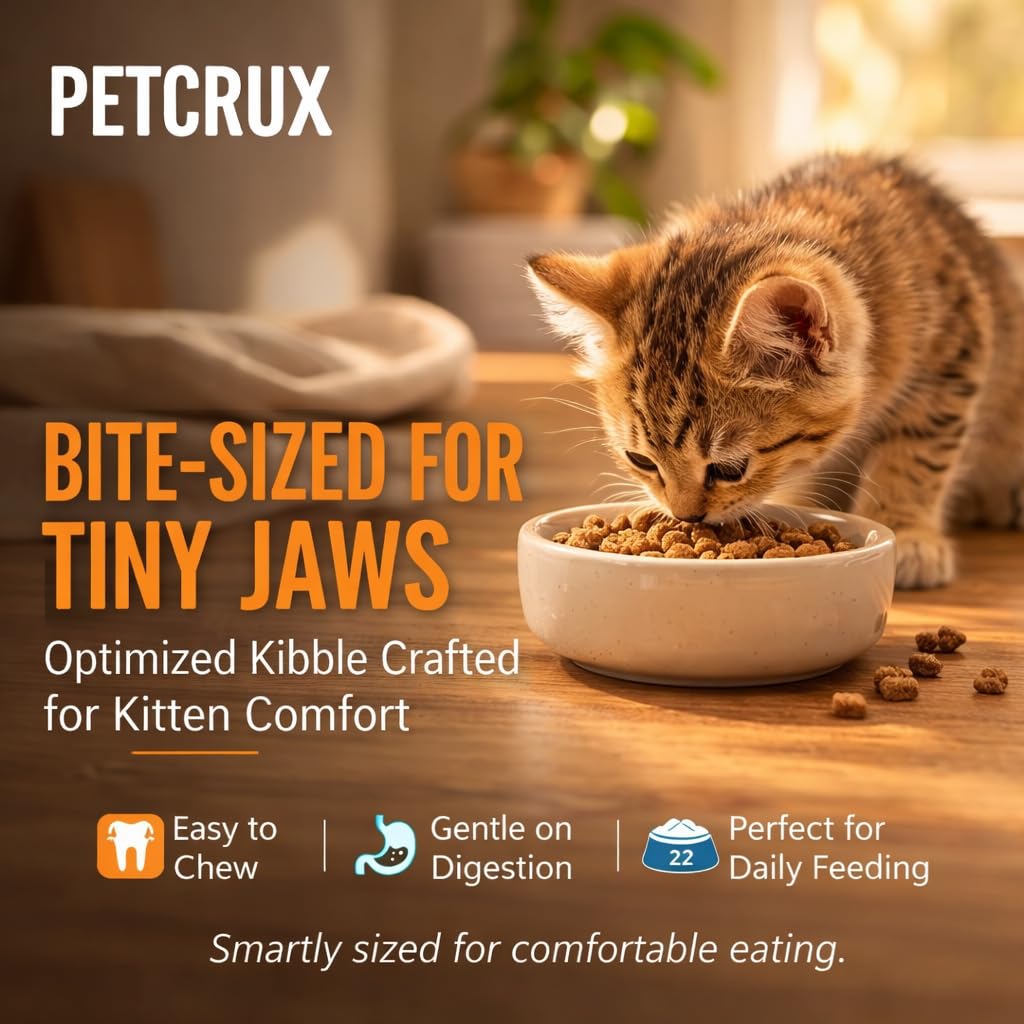 Petcrux Dry Kitten Cat Food, Mackerel Fish Flavor, with Omega 3 & 6 and Taurine, Complete & Balanced Nutrition for Growing Kittens, Trial Pack 50 g