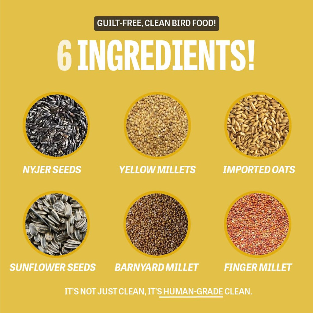 Petcrux Bird Food – Blend of 6 Grains & Mixed Seeds – Clean, Additive-Free Bird Feed with Nyjer, Millet, Oats, Sunflower – 100% Natural & Healthy Mix for All Birds (1000 g)