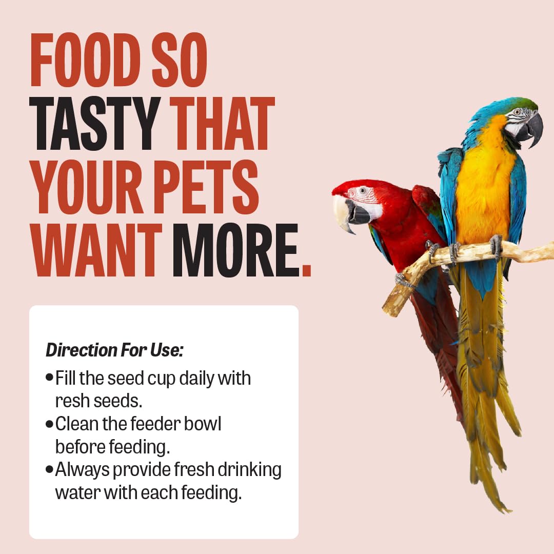 Petcrux Bird Food Foxtail Millets, 0.5kg