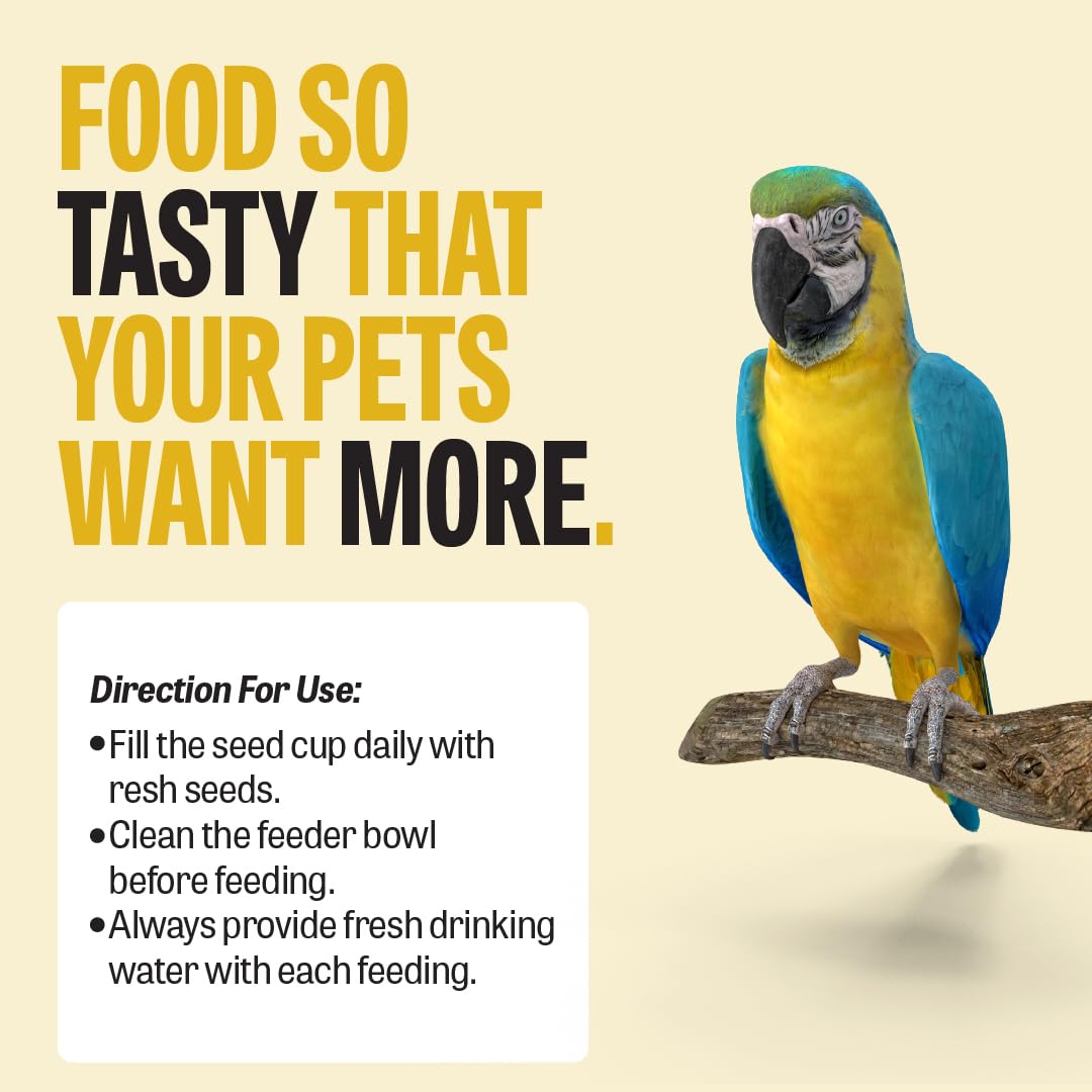 Petcrux Bird Food – Blend of 6 Grains & Mixed Seeds – Clean, Additive-Free Bird Feed with Nyjer, Millet, Oats, Sunflower – 100% Natural & Healthy Mix for All Birds (1000 g)