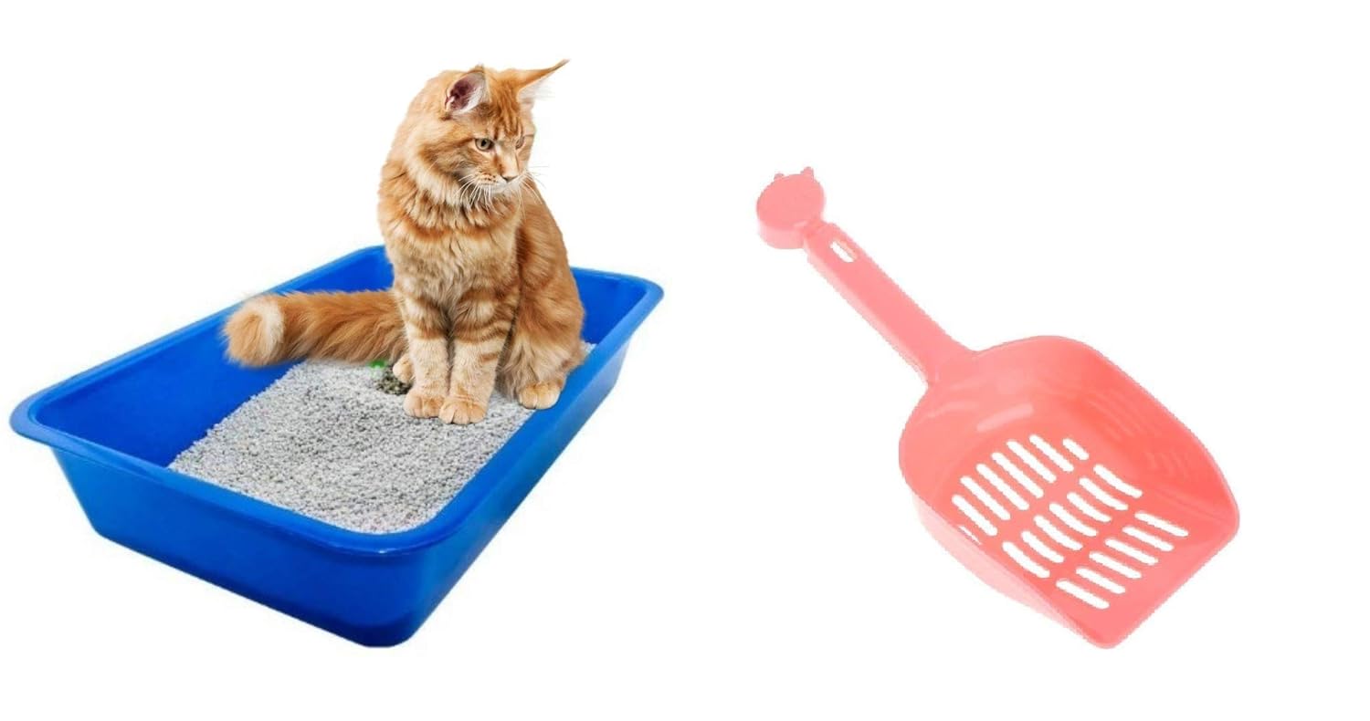 Petcrux Exclusive Cat Litter Tray & Litter Scooper Multicolor (Litter Tray + Litter Scooper)