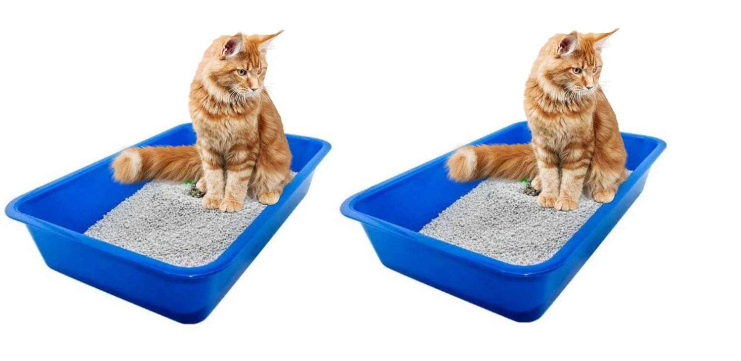 PetCrux Exclusive Cat Litter Tray Litter Tray - Pack of 2