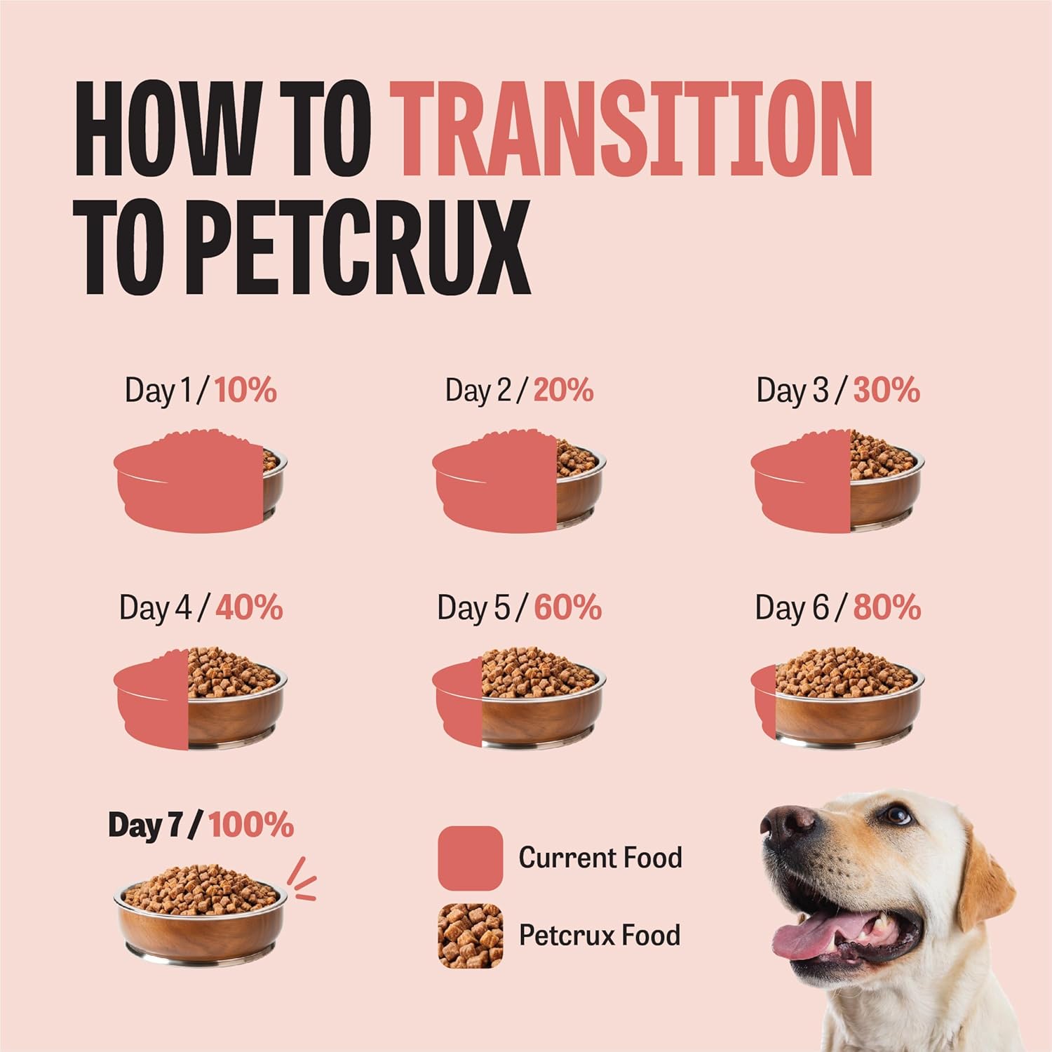 Petcrux Puppy Dry Food Chicken & Egg, Complete Nutrition for Puppy, 3Kg