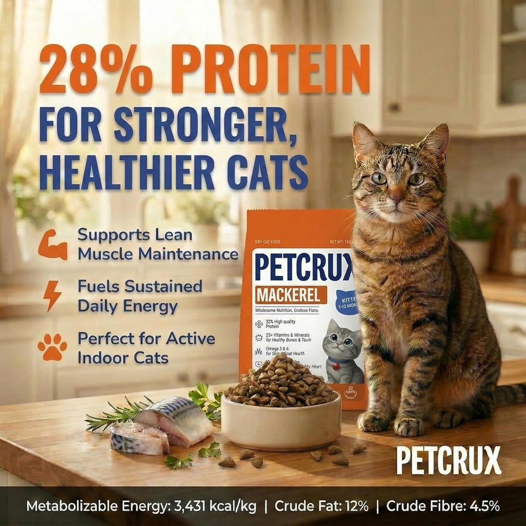 Petcrux Dry Adult Cat Food, Mackerel Fish Flavor, with Omega 3 & 6 and Taurine, Complete & Balanced Nutrition for Adult Cats, Trial Pack 50 g