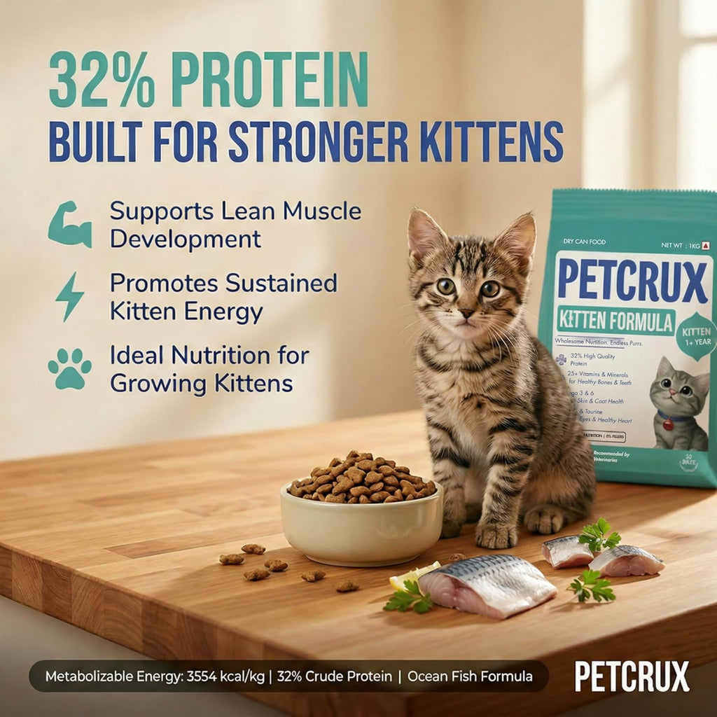 Petcrux Dry Kitten Cat Food, Ocean Fish Flavor, with Omega 3 & 6 and Taurine, Complete & Balanced Nutrition for Growing Kittens, 1 kg